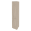 Дуб Аттик