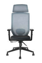 Кресло для руководителя Bronte RCH A755 Luxe Серая сетка Кресло для руководителя Bronte RCH A755 Luxe Серая сетка