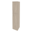 Дуб Аттик