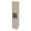 Дуб Аттик